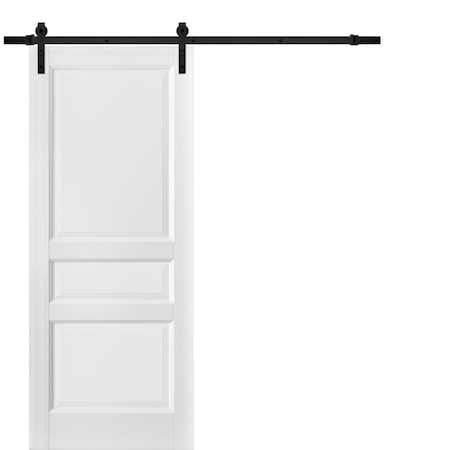 Sartodoors Barn Interior Door, 18" x 84", White LUCIA31BD-B-BEM-1884